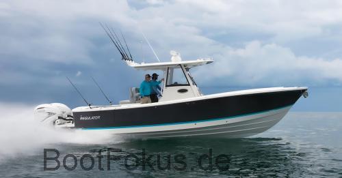 Regulator 31  technische daten 